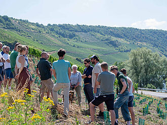 Besuch der Projektfläche (Foto: FAIR'N GREEN)