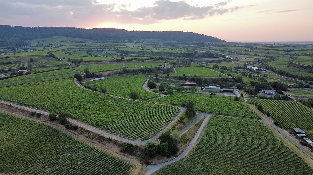 © Being Organic in EU (Die vom Verein zur Verfügung gestellten Bildmaterialien unterliegen dem Urheberrecht von Fair and Green e.V.. Sie wurden ausschließlich für die Nutzung im Rahmen dieses Projekts bereitgestellt. Eine Vervielfältigung, Weitergabe oder anderweitige Nutzung der Bilder ist nicht vorgesehen und bedarf der ausdrücklichen Genehmigung durch die Rechteinhaber.)