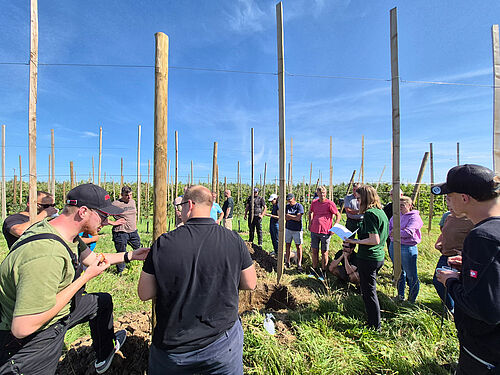 Projektfläche beim Betrieb Köster. Foto: Carsten Köpcke, OVR