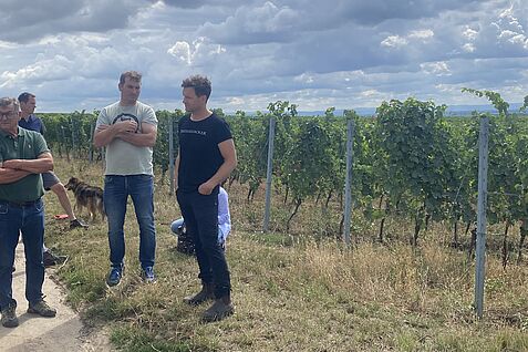 Austausch zu Pflanzenkohle im Weinberg am Feldtag beim Weingut Dreissigacker. Foto: L. Leppich/FNG