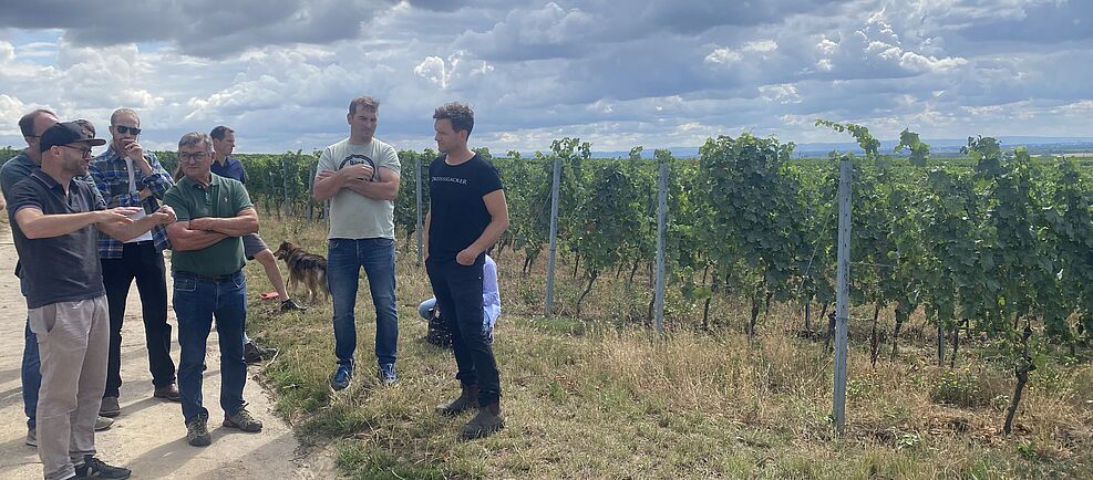 
	Austausch zu Pflanzenkohle im Weinberg am Feldtag beim Weingut Dreissigacker. Foto: L. Leppich/FNG
