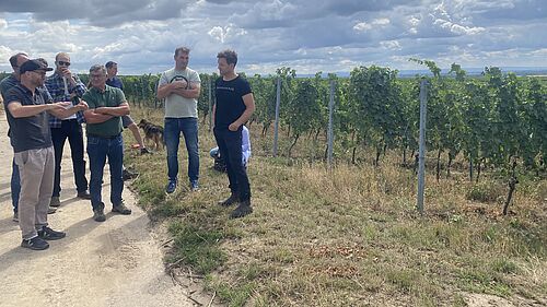Austausch zu Pflanzenkohle im Weinberg am Feldtag beim Weingut Dreissigacker. Foto: L. Leppich/FNG