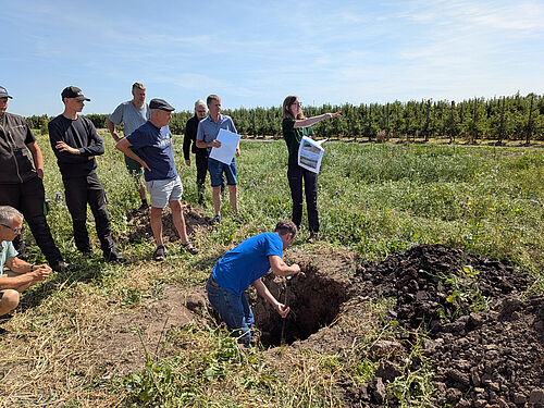 Projektfläche beim Betrieb Köster. Foto: Carsten Köpcke, OVR